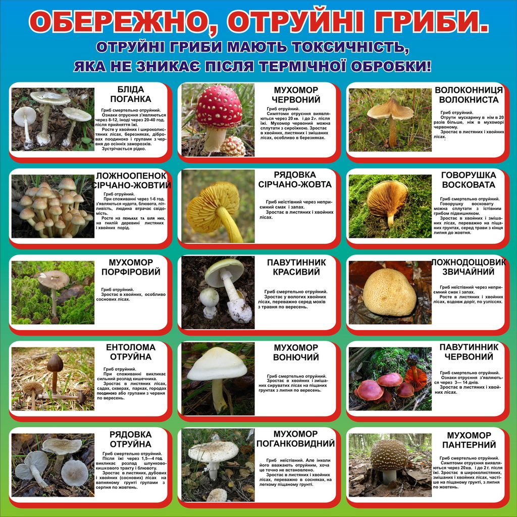 https://baryshivska-gromada.gov.ua/wp-content/uploads/2020/05/7416.jpg